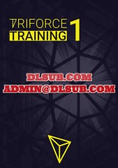 Triforce Trader corporate product branding for Triforce Training Part 1 program
